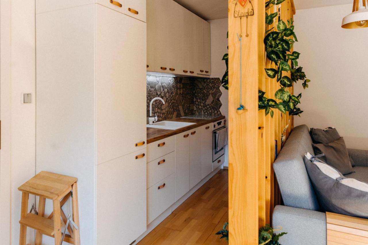 Apartman V Srdci Znojma „Jako Doma“ Зноймо Екстер'єр фото